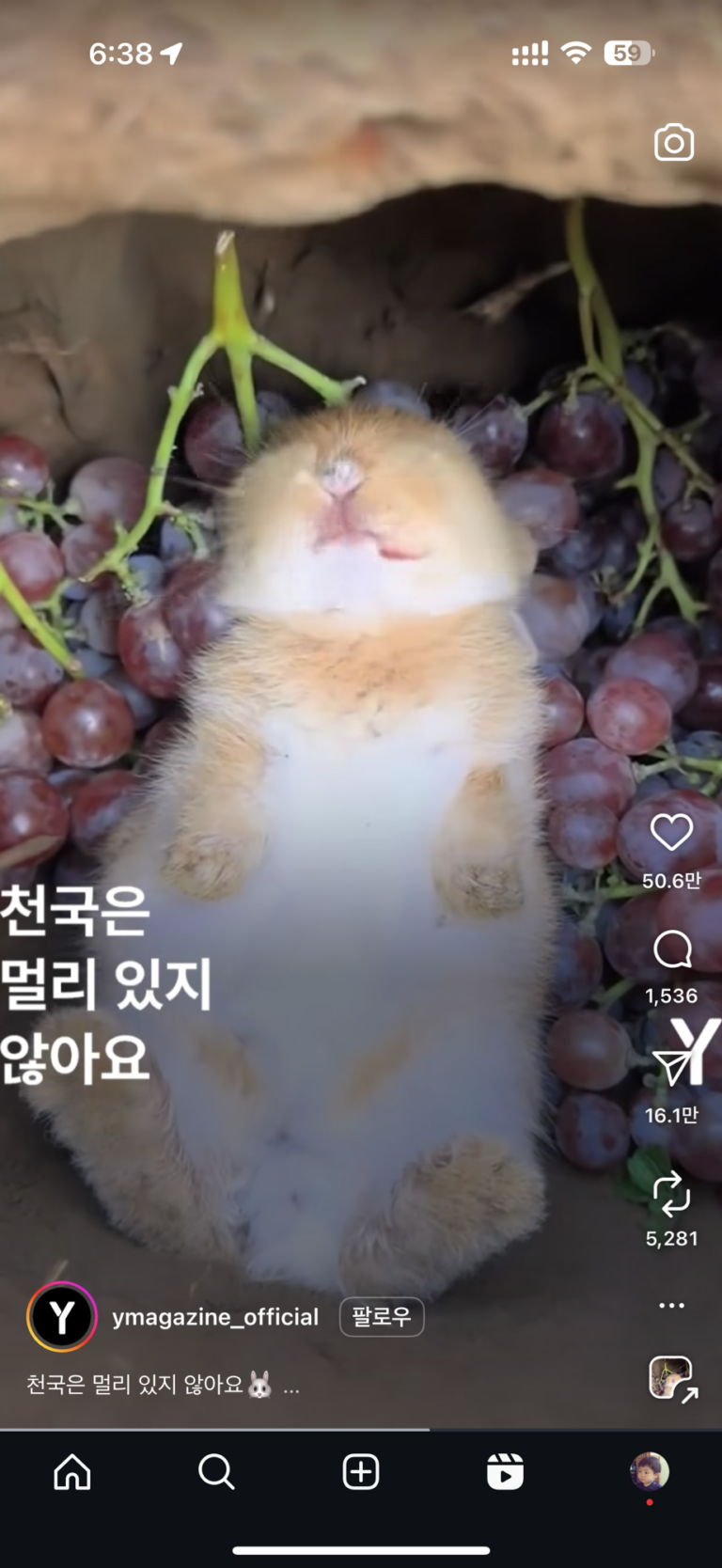 1조 vs 존재